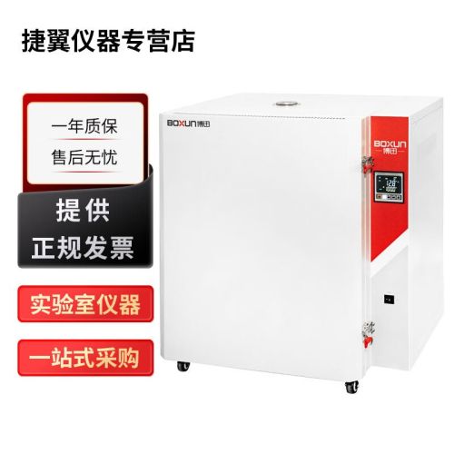 上海博迅BGG系列实验室高温鼓风干燥箱恒温烘干箱400℃/500℃ BGG-248高温鼓风干燥箱400℃