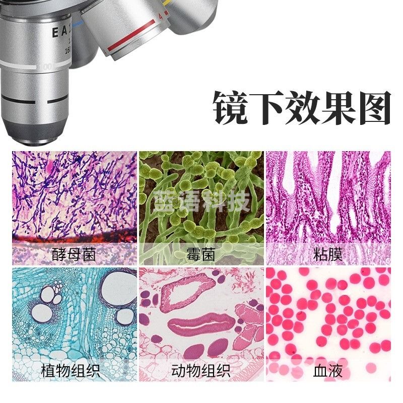 麦克奥迪专业生物光学显微镜高倍1600倍水产养殖畜牧美容看鱼病细菌便携