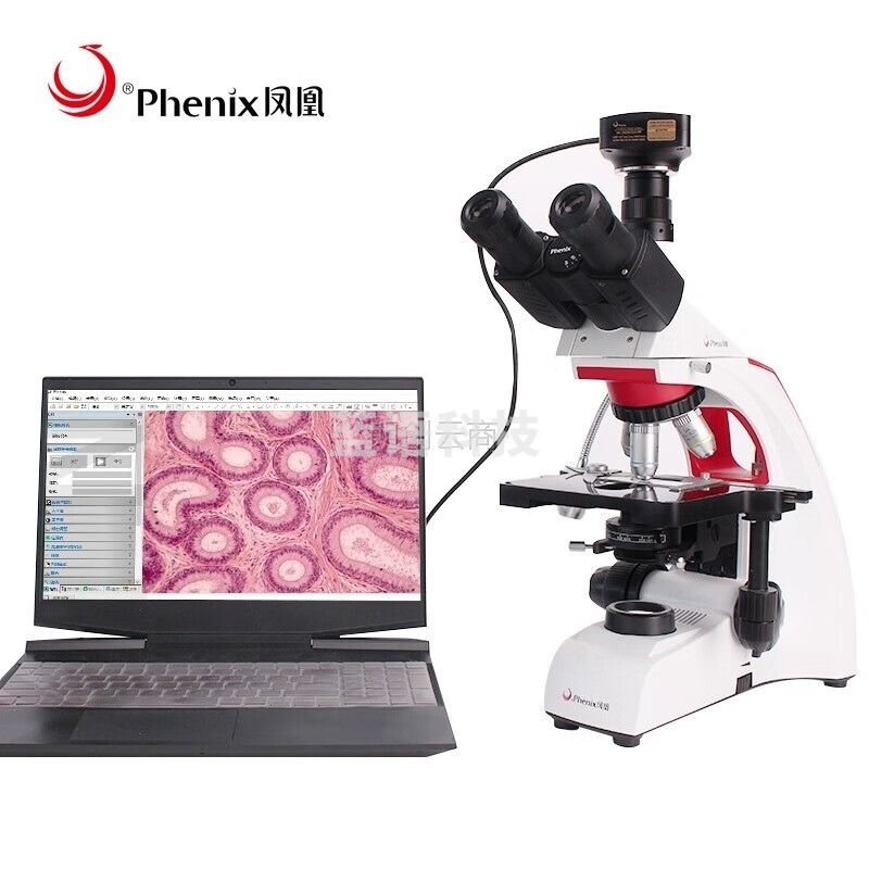 凤凰 Phenix MC-D500U(C)显微镜摄像头电子目镜连接电脑拍照录像