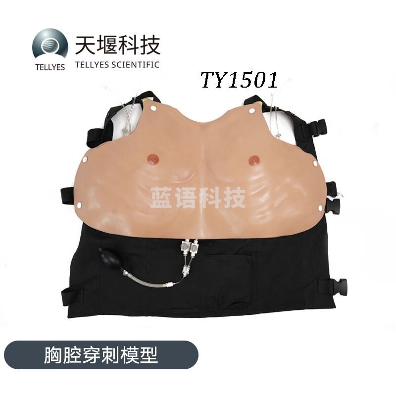 天堰科技/ TELLYES TELLYES SCIENTIFIC 采之采天堰科技TELLYES 胸腔穿刺模型 专业仪器仪表 教学仪器