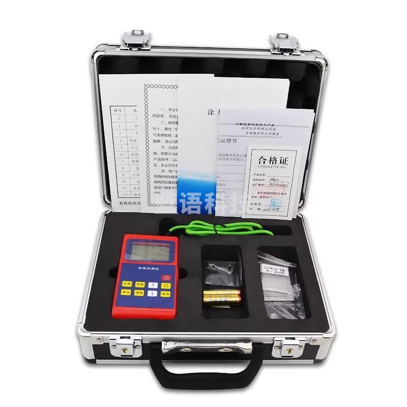 常泰勒LEEB210/211/220/221/222涂层测厚仪 油漆漆膜涂镀层测厚仪 LEEB210 磁感应 铁基 仪器仪表零部件-