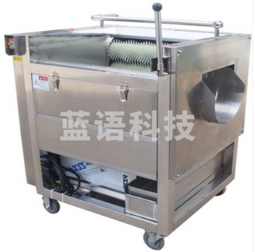 冀工    毛刷清洗去皮机 JG-600