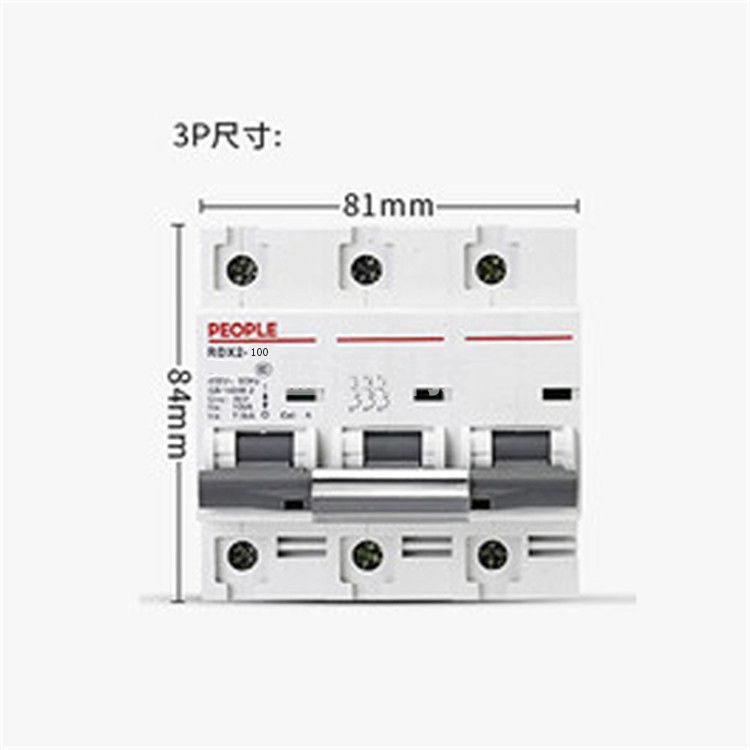 人民电器 RDX2 3P/100A 大功率断路器