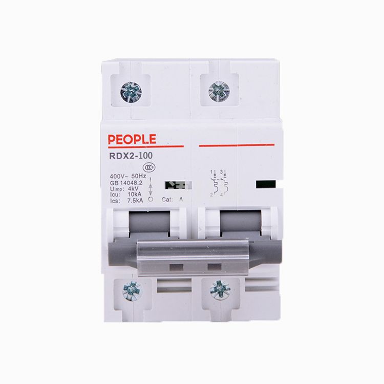 人民电器 断路器 RDX2-100(100A／2P)大功率断路器