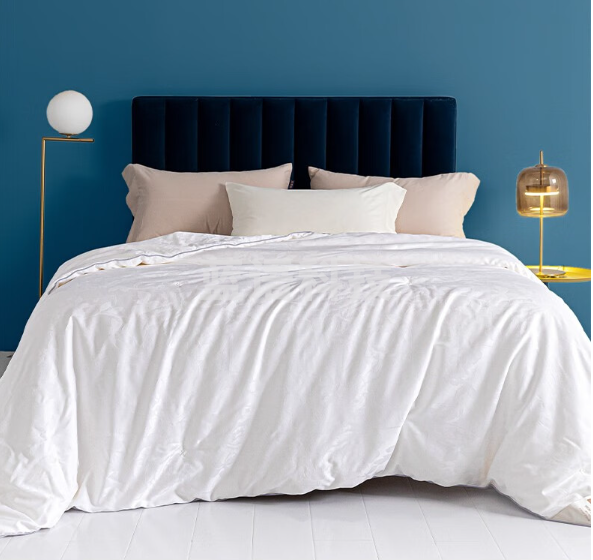 恒源祥100%桑蚕丝被抗菌蚕丝被子秋冬加厚保暖被芯全棉单双人春秋被褥 春秋被220*240cm【白色约6斤】 100%桑蚕丝被