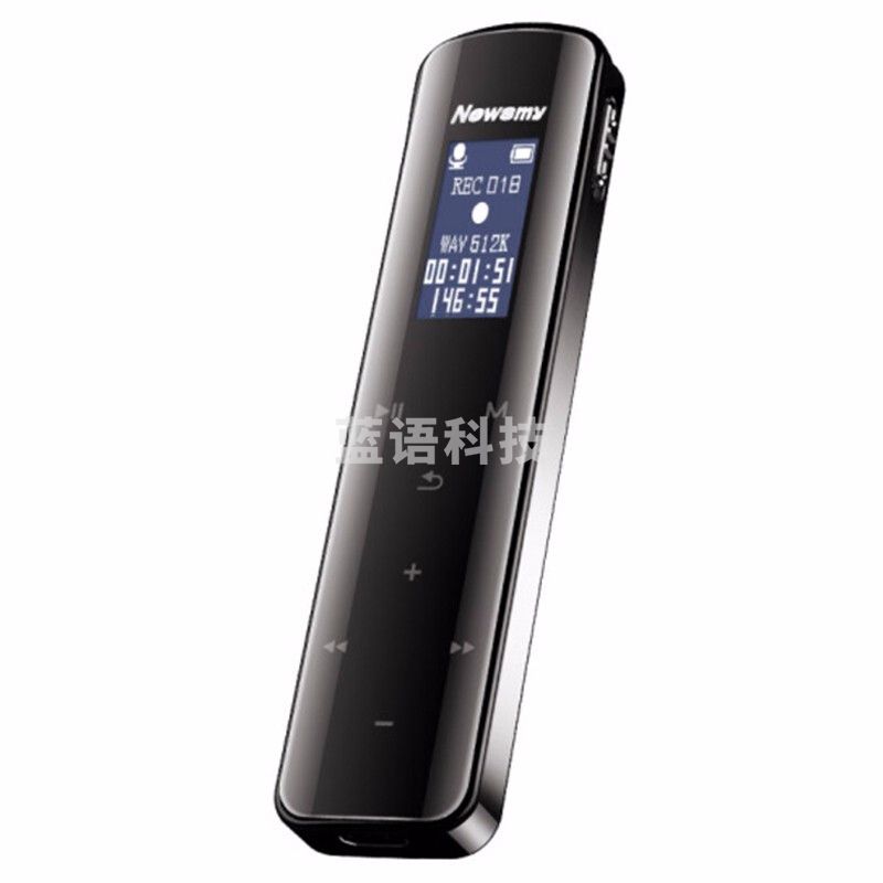 纽曼 （Newsmy） V29 录音笔微型迷你高清降噪长待机远距离录音笔转文字 V29黑色32GB