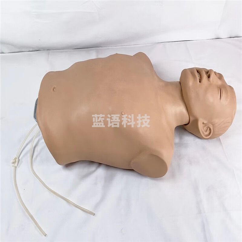 巨成/JUNCUS 采之采JUNCUS 人工气道与鼻胃管插管仿真训练模型 JC-E319 专业仪器仪表 教学仪器