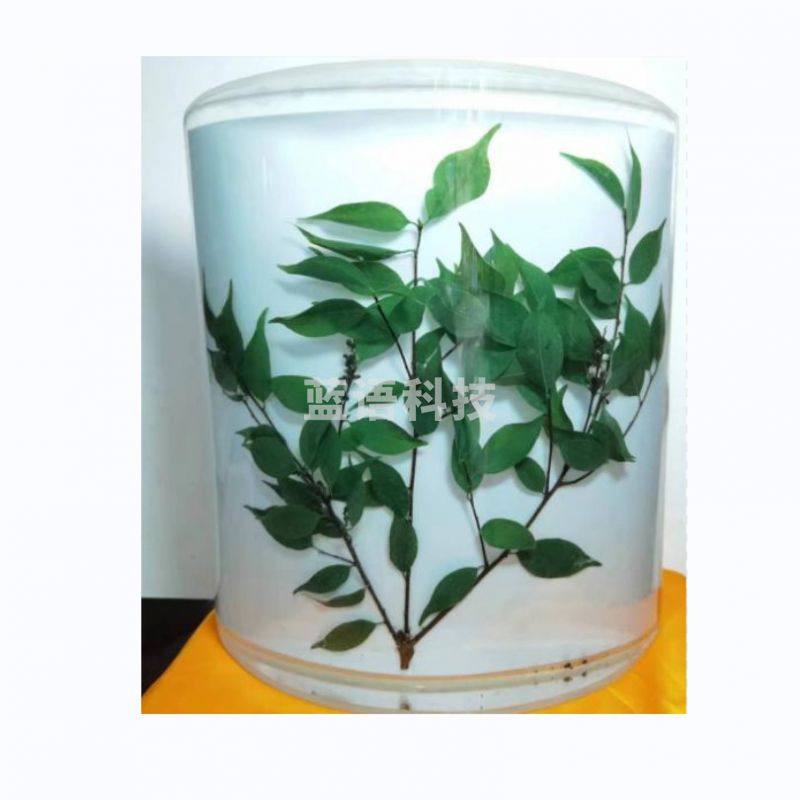 科源 KY-S073  植物浸制（含采集费）教学仪器