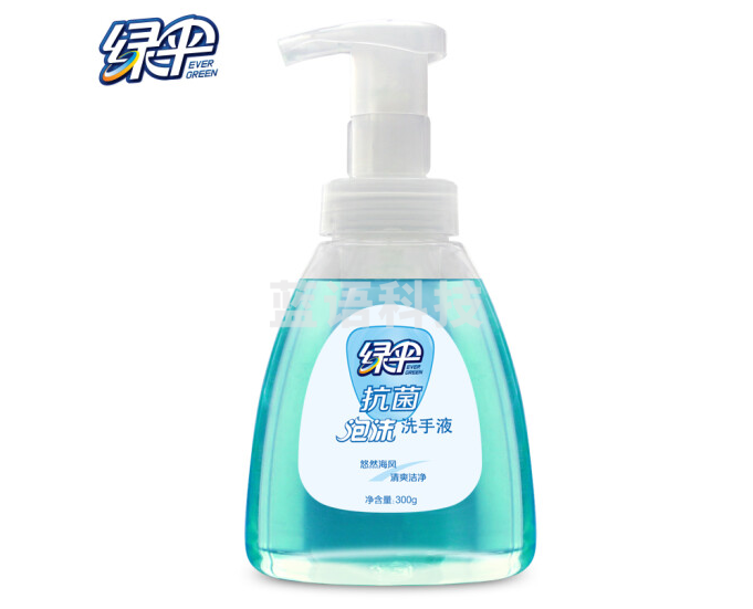 绿伞 抗菌泡沫洗手液 悠然海风300g/瓶