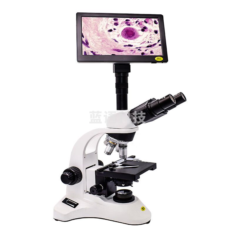 纽荷尔 实验教学高倍显微镜 TS-S1A风尚版配9英寸屏2020款 科研微生物显微镜 教学仪器