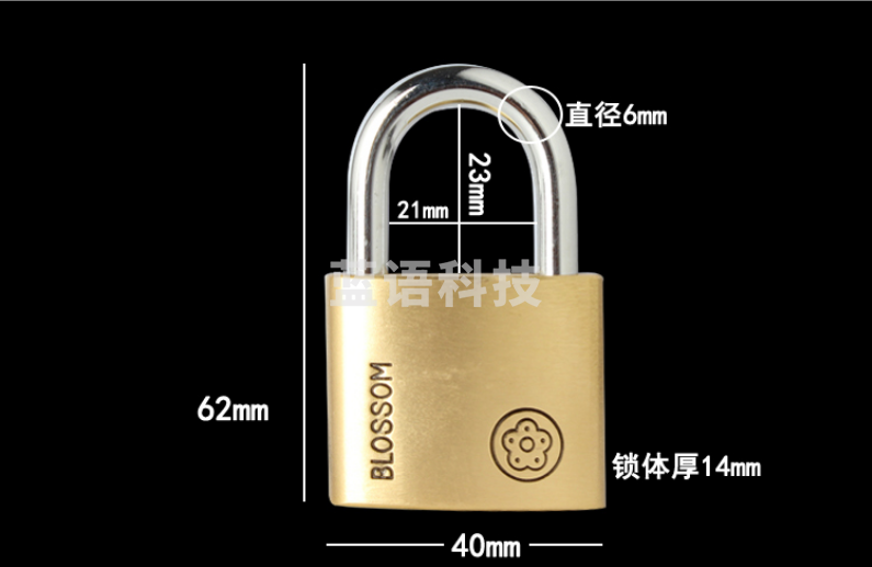 梅花（BLOSSOM）铜挂锁40mm 自动门锁 防水防锈办公室宿舍铜锁 仓库大铁门抽屉锁柜门锁BC9040