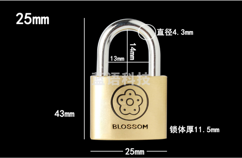梅花（BLOSSOM）雅圆铜挂锁25MM 抽屉锁箱包锁 宿舍柜门锁BC9025