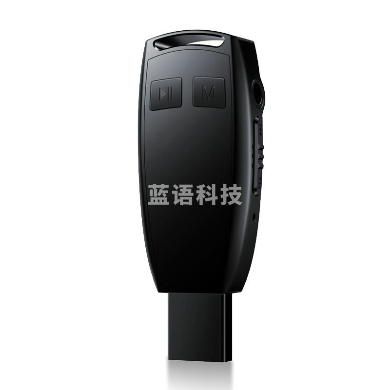 纽曼(Newsmy)微型录音笔V30 专业PCM线性录音 微型高清降噪迷你 变速播放 随身U盘 USB直插 32G 黑色