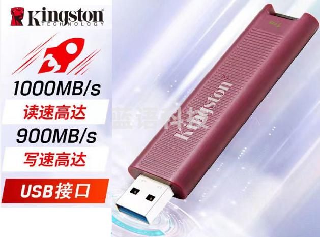金士顿（Kingston）1T USB3.2 Type-A 超极速固态U盘 DTMAXA 读速高达1000MB/s 写速900MB/s