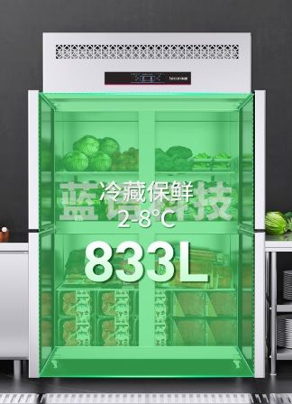 乐创（lecon）四门冰箱商用冰柜大容量立式厨房冰箱双温四开门冷藏柜冷冻柜六门风冷冰箱烘培插盘层架式冷藏冷冻 双门全保鲜