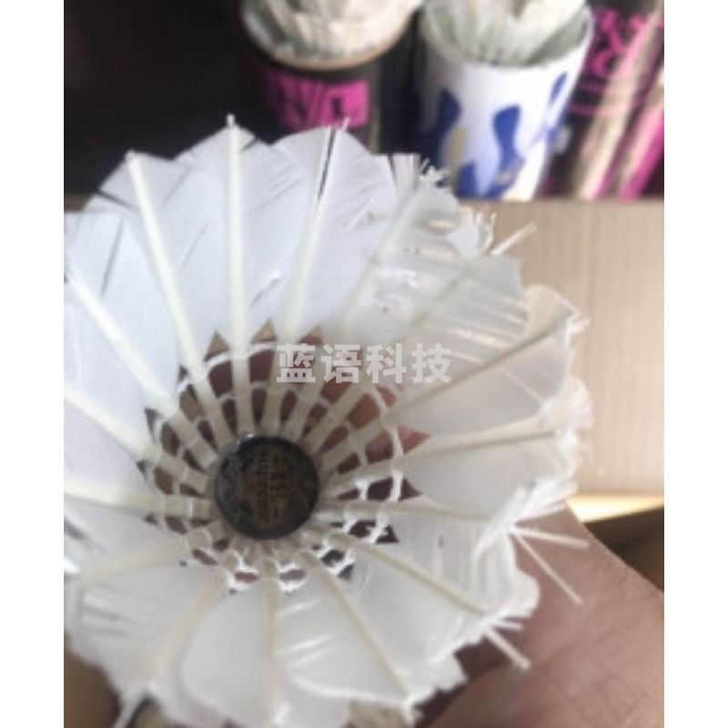 001 户外类二手羽毛球600个