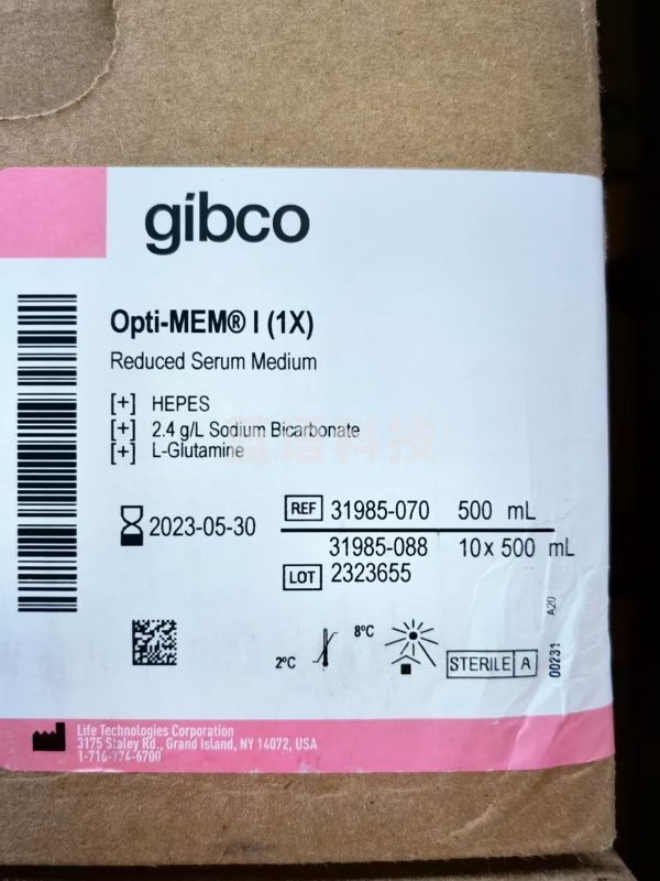 Thermo Thermo Opti-MEM I培养基 31985-070 500ml  细胞培养基