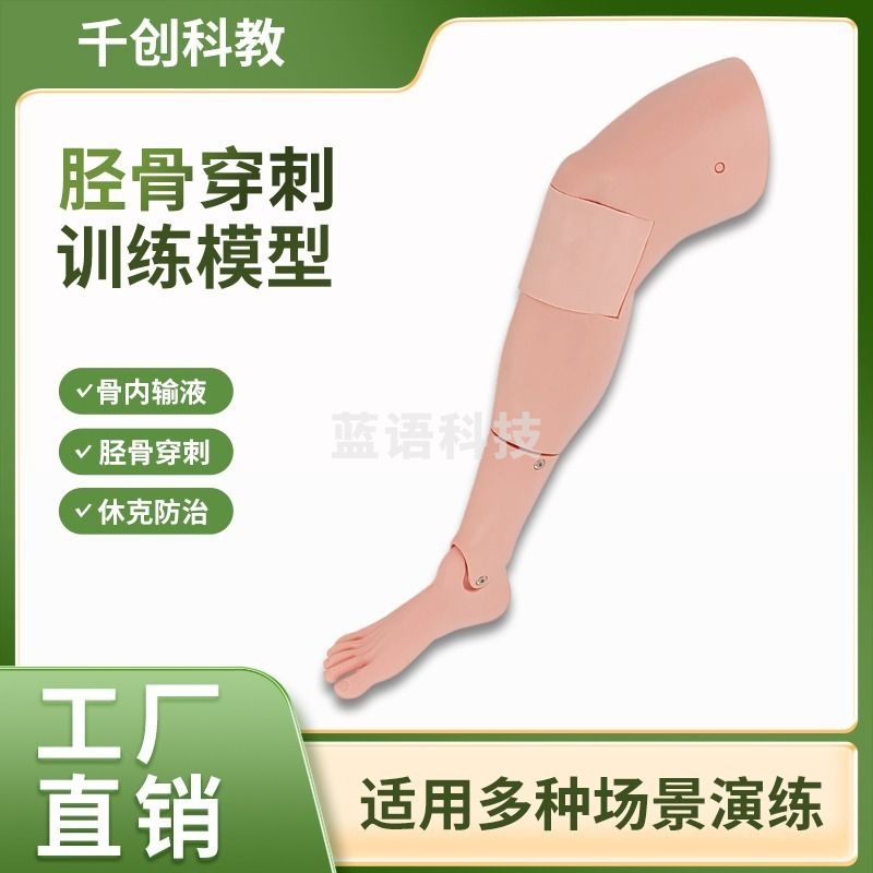 千创科教 医学教学 骨内输液训练模型 胫骨仿真人体模型 医学院校实训工具 骨穿技能练习 医护培训教具