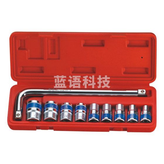 鹰之印(BESTIR)C10件12.5MM蓝带套筒组套N91301/10PCS(六角)