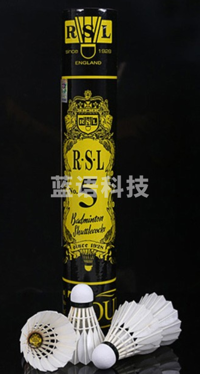 亚狮龙5 羽毛球