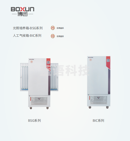 博迅 BOXUN光照培养箱BSG-250