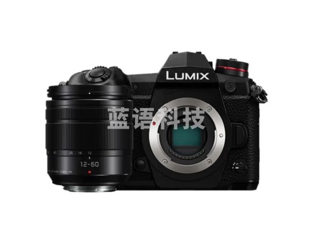 松下 G9 微单/单电无反数码旗舰版专业照相机 高清4K 高速连拍 5轴防抖 M43画幅 【扫街利器】12-60mm F3.5-5.6 套装