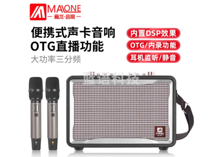 曼龙（MALONE）GT-001便携手提蓝牙音响 6.5吋黑色+2支话筒 旗舰版