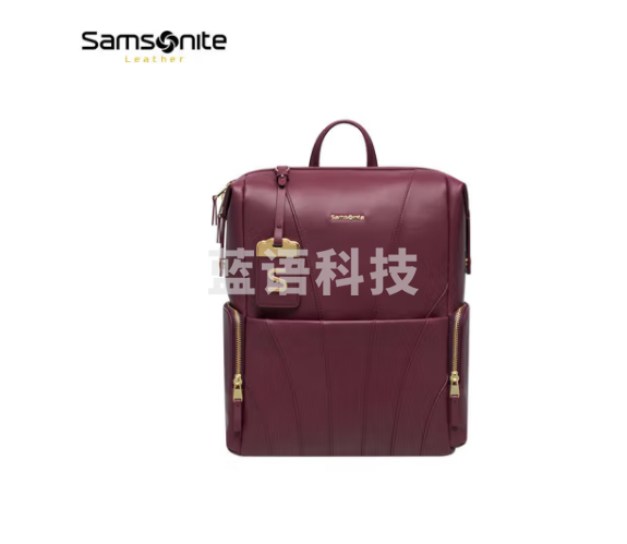 Samsonite电脑包女士双肩背包书包潮流旅行包TL3 酒红色