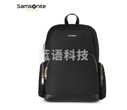 新秀丽（Samsonite）双肩包潮流女包女士背包电脑包TW2*09001黑色大号