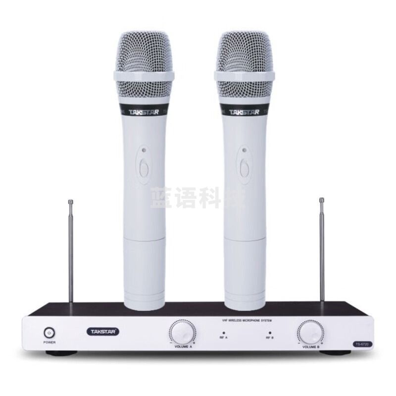 得胜（TAKSTAR）TS-6720无线话筒一拖二 家庭KTV会议舞台演出专用无线话筒 象牙白