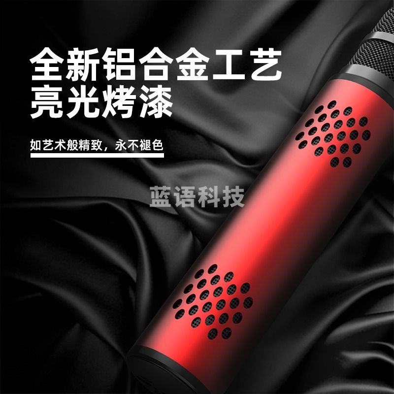 索爱（soaiy） MC20手机麦克风话筒 全民k歌录音主播声卡套装唱歌神器音响一体无线蓝牙家庭ktv典雅黑