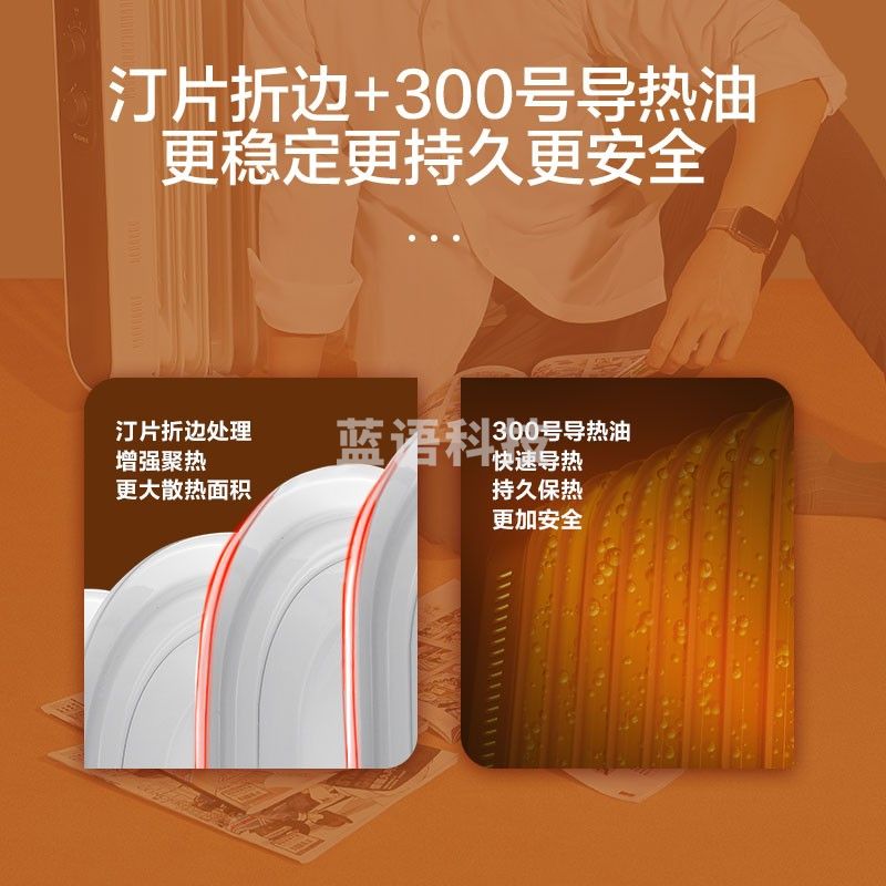 格力（GREE）取暖器 /电暖器/电暖气片家用 13片低躁速热电热油汀NDY18-X6121