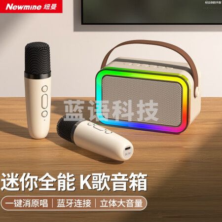纽曼(Newmine)DP97无线蓝牙音箱家庭ktv音响套装户外大音量广场舞音响迷你手提便携式话筒K歌麦克风一体机 双麦+双喇叭+呼吸灯