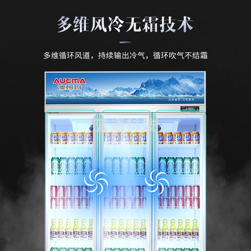 澳柯玛(AUCMA)风冷无霜展示柜饮料陈列柜果蔬保鲜柜超市饭店冷藏柜酒吧KTV商用啤酒柜冰箱冰柜LSC-1020DW