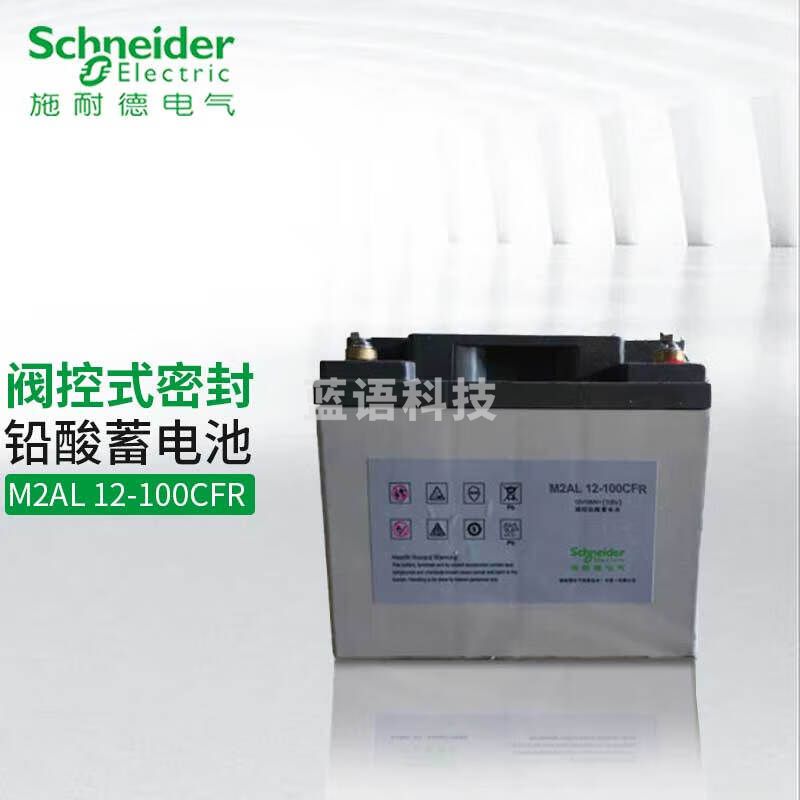 APC UPS电源铅酸蓄电池  施耐德CFR系列 M2AL12-100CFR