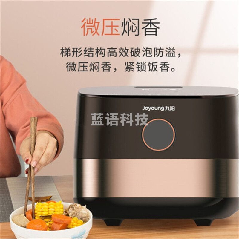 九阳(Joyoung)家用厨房电饭煲铜匠厚釜底盘加热24H预约柴火饭一键触控 F40FZ-F6352