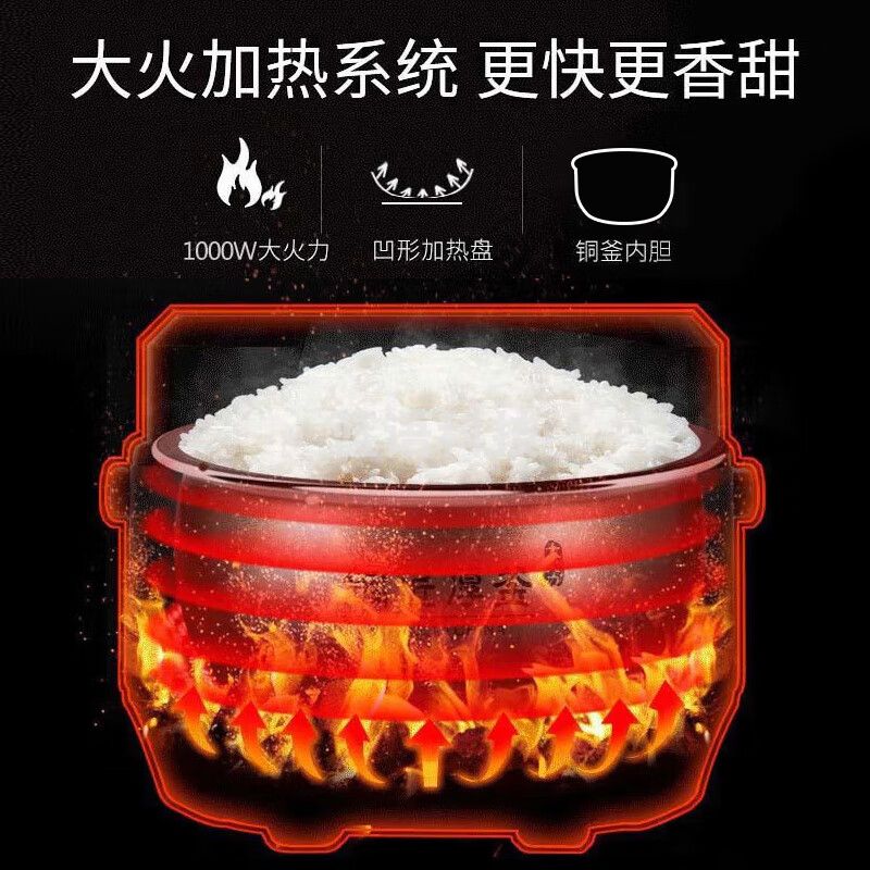 九阳(Joyoung) 电饭煲 家用6L大容量电饭锅多功能大功率铜釜内胆煮饭锅 F-60FZ1