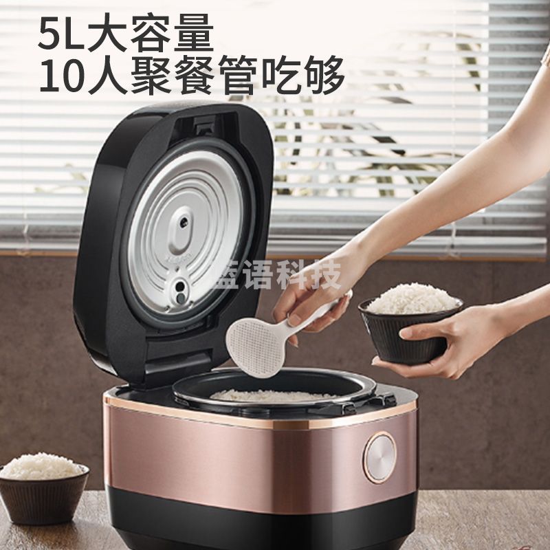 九阳(Joyoung)电饭煲 电饭锅 智能预约大功率 5L土灶铁釜低糖饭 F-50T20S