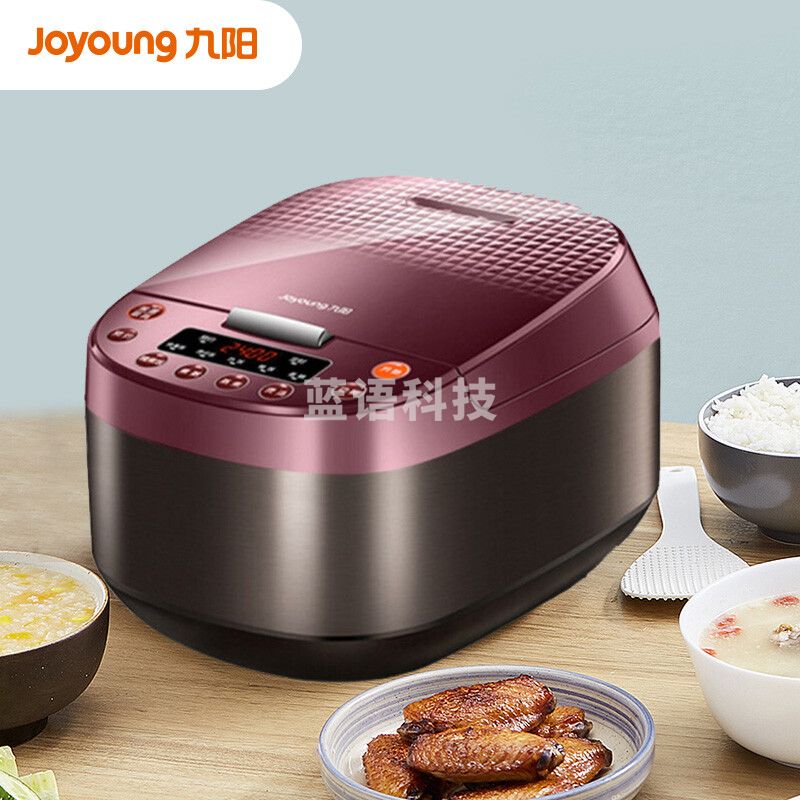 九阳(Joyoung)肖战推荐ZMD安心系列 电饭煲 电饭锅 智能预约大功率 5L土灶原釜 预约大火力 F-50FY813