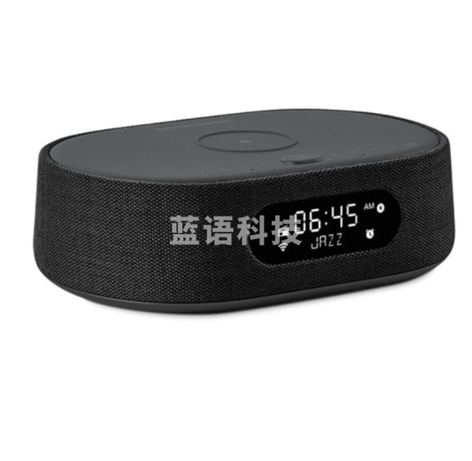 哈曼卡顿 (Harman Kardon)CITATION OASIS FM 音乐绿洲 人工智能音箱 带收音机和无线充电 支持Wi-Fi 黑色
