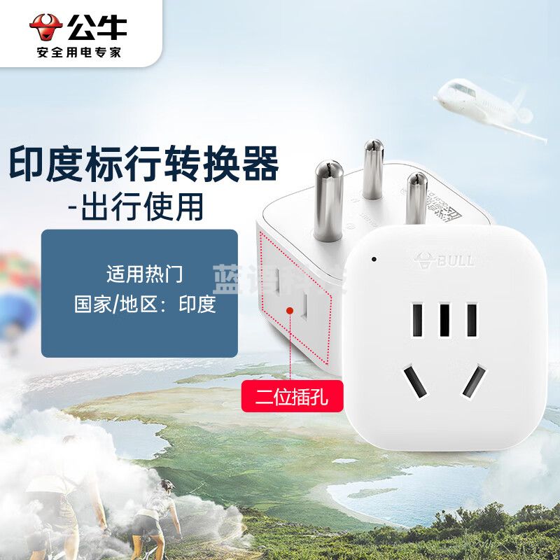 公牛（BULL）2位印度标转国标 电源转换器插座 适合国外使用 GN-L01S