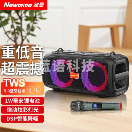 纽曼（Newmine）D28 蓝牙音箱 音响户外k歌广场舞专用便携式重低音炮家用唱歌移动家庭ktv带麦克风桌面高音质无线小音响 带单话筒+炫彩灯