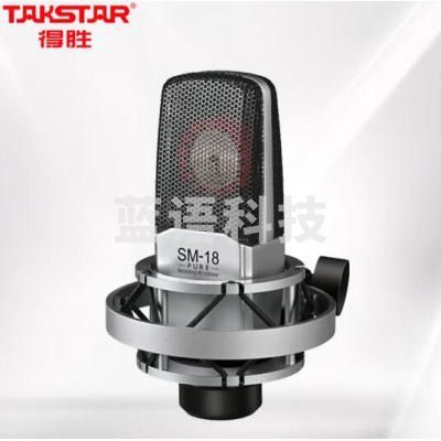 得胜（TAKSTAR）SM-18 PURE 专业录音麦克风 网络直播K歌乐器录音直播声卡套装设备电容麦克风 抖音直播话筒