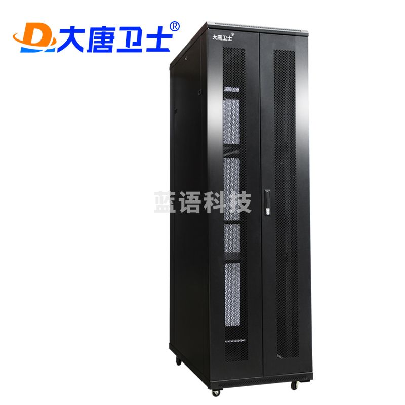 大唐卫士 T3-6042S 服务器网络机柜2米42U