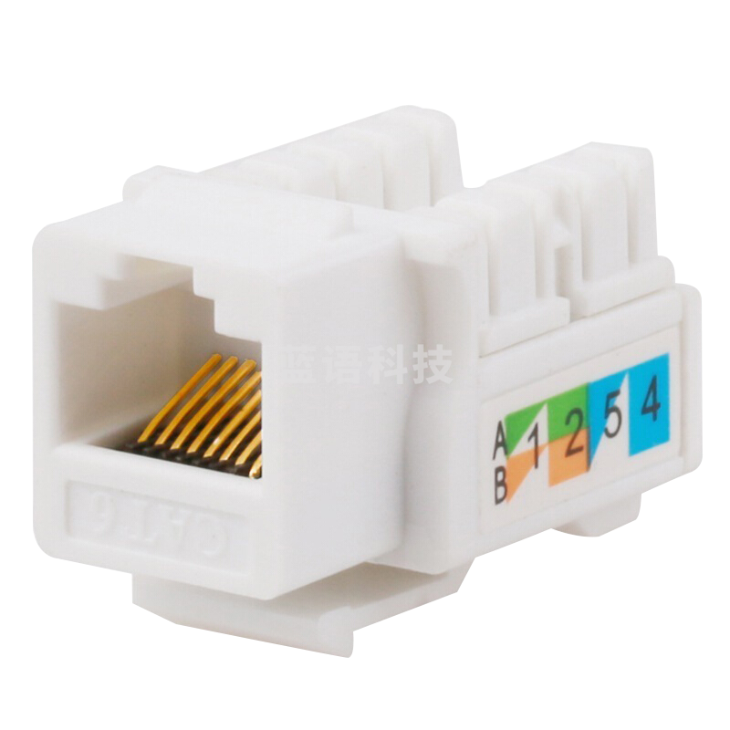 山泽（SAMZHE）WAN-06 六类网络模块 CAT6千兆网线插座面板模块 RJ45水晶头母座电脑网线镀金连接头 工程版