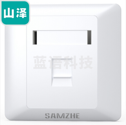 山泽(SAMZHE)电脑插座网口网络面板 适用电话信息模块 通用超五/六/七类模块加厚86型面板 单口WAN-01