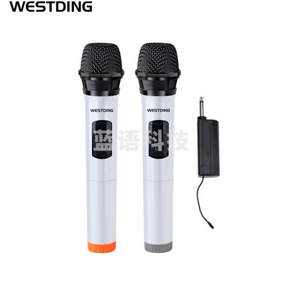 威斯汀  家用卡拉OK无线话筒一拖二专业U段防啸叫麦克风 K10
