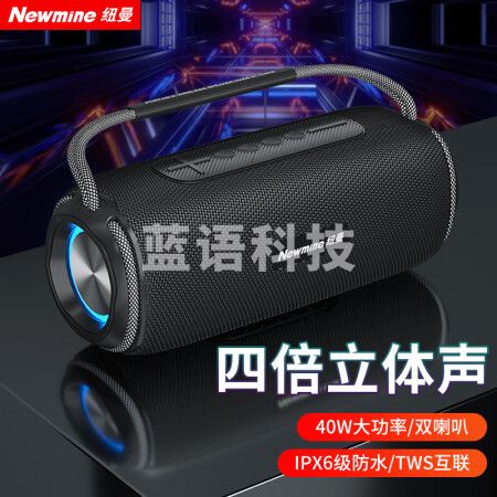 纽曼(Newmine)N20蓝牙音箱 音响户外广场舞家用桌面低音炮手提便携迷你小钢炮U盘电脑手机高音质无线小音响黑色 双喇叭