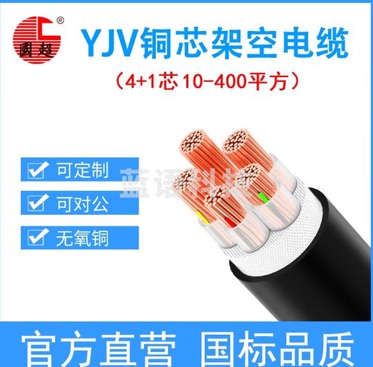 国超电缆 YJV-0.6/1KV-4*16+1*10铜芯国标架空户外防老化4+1芯电力电缆 1米 10米起售