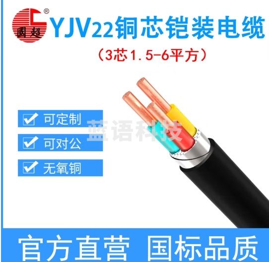 国超电缆 YJV22-0.6/1KV-3*6铜芯国标铠装户外地埋防老化3芯电力电缆 1米 10米起售